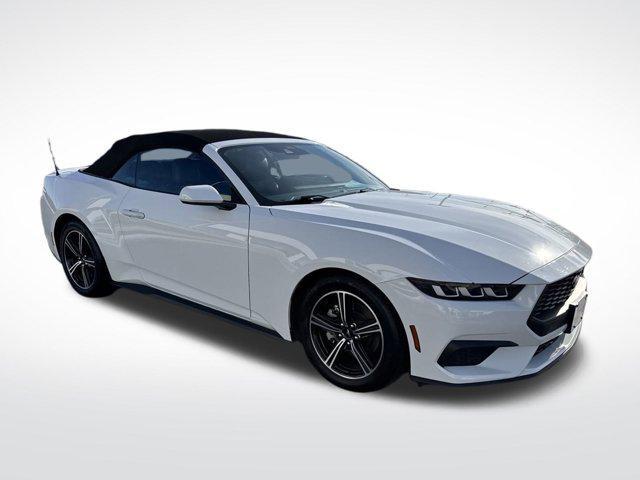 used 2024 Ford Mustang car, priced at $34,995