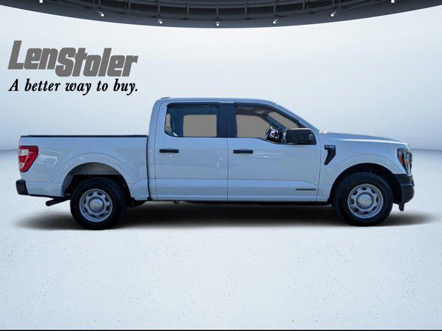 used 2023 Ford F-150 car, priced at $31,000