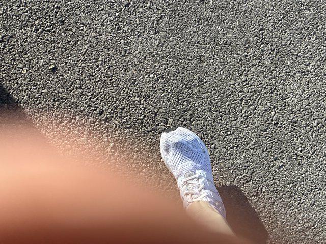 new 2025 Toyota Tacoma car, priced at $45,973