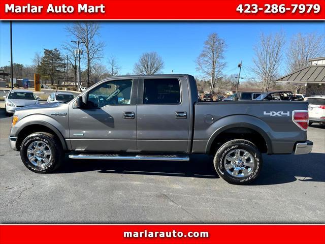 used 2012 Ford F-150 car