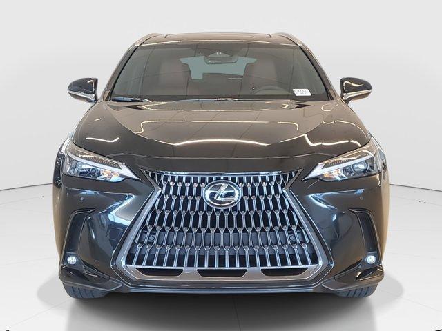new 2025 Lexus NX 350 car, priced at $48,179