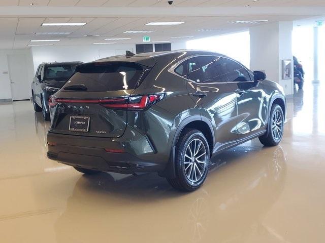 used 2025 Lexus NX 250 car, priced at $40,900