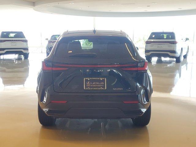 used 2024 Lexus NX 250 car, priced at $38,990