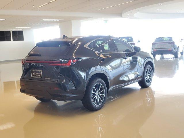 used 2024 Lexus NX 250 car, priced at $38,990