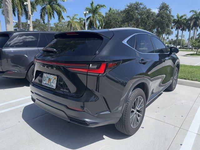 used 2023 Lexus NX 250 car
