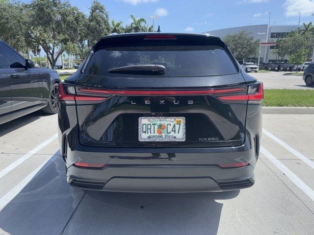 used 2023 Lexus NX 250 car