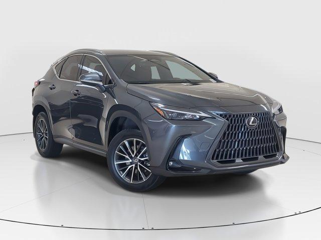 used 2022 Lexus NX 250 car