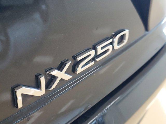 used 2024 Lexus NX 250 car, priced at $33,900