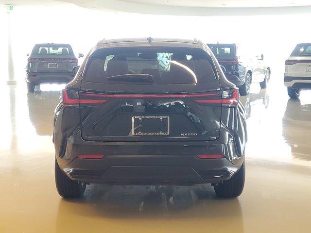 used 2024 Lexus NX 250 car, priced at $33,900