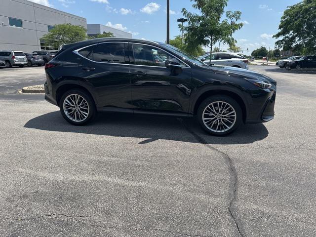 used 2022 Lexus NX 350h car, priced at $47,000
