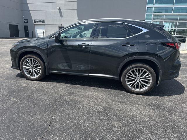 used 2024 Lexus NX 350 car, priced at $49,500