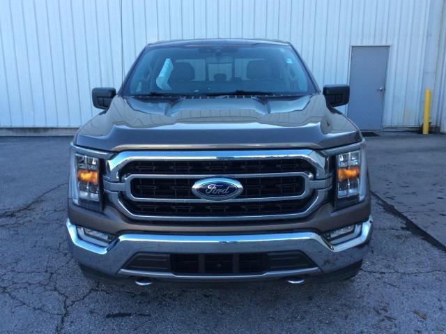 used 2021 Ford F-150 car, priced at $37,463