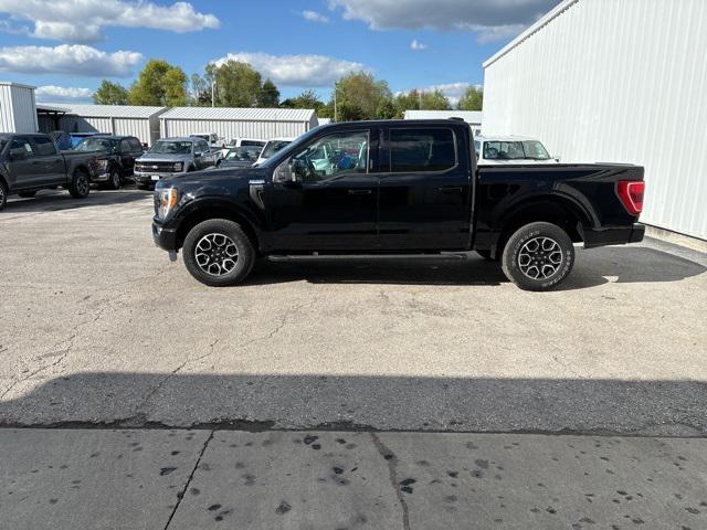 used 2021 Ford F-150 car, priced at $35,990