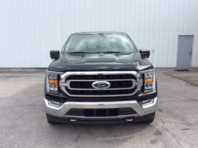 used 2021 Ford F-150 car, priced at $36,987