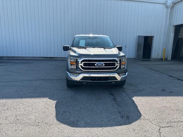 used 2021 Ford F-150 car, priced at $36,986