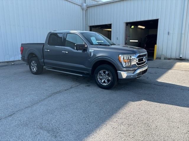 used 2021 Ford F-150 car, priced at $36,986