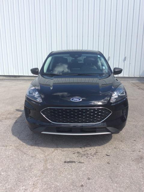 used 2022 Ford Escape car, priced at $20,985