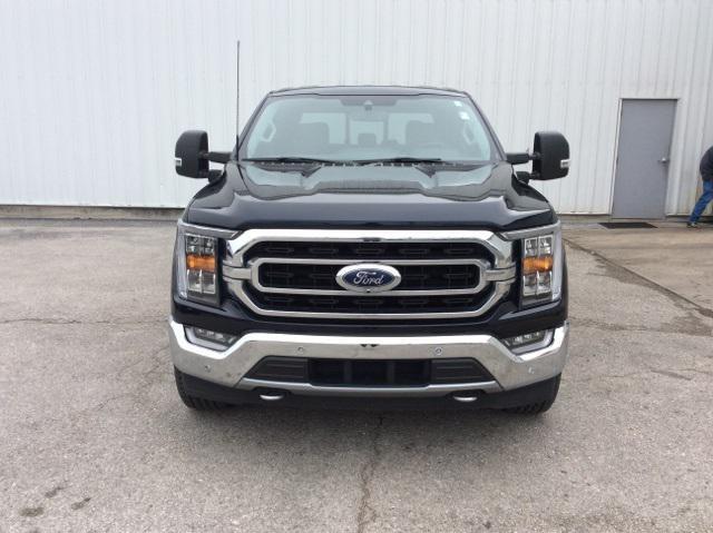 used 2021 Ford F-150 car, priced at $36,987