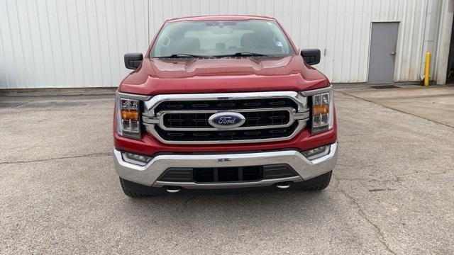 used 2021 Ford F-150 car, priced at $35,990