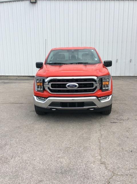 used 2021 Ford F-150 car, priced at $36,990