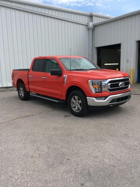 used 2021 Ford F-150 car, priced at $36,990