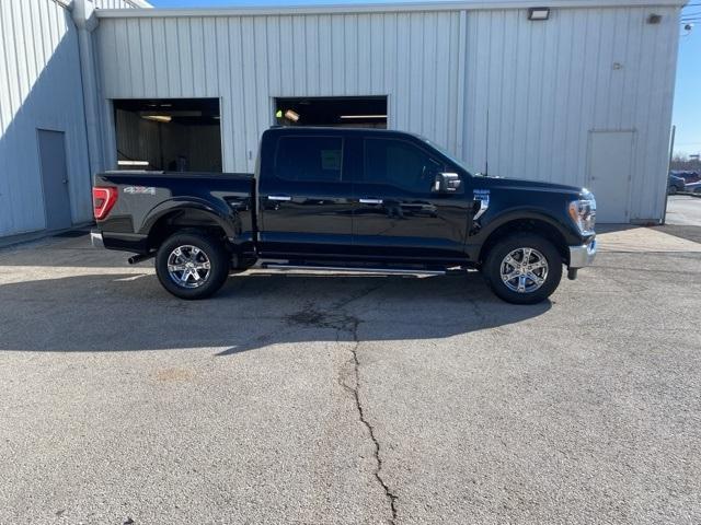 new 2023 Ford F-150 car, priced at $45,990