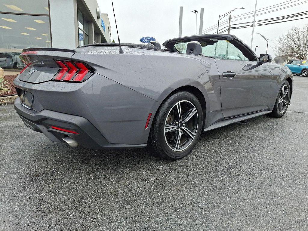 used 2024 Ford Mustang car, priced at $34,488