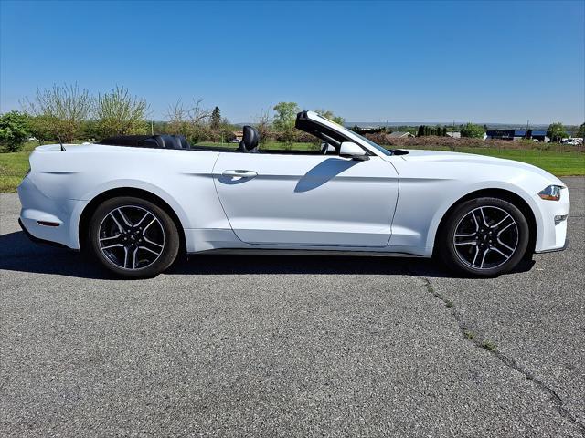 used 2023 Ford Mustang car, priced at $35,988