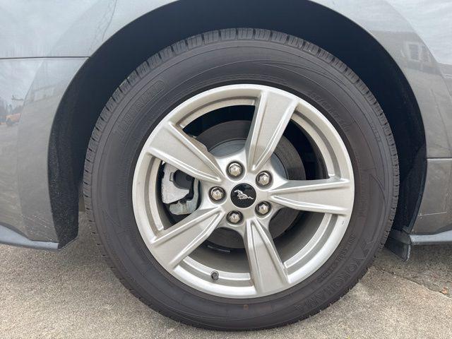 used 2022 Ford Mustang car, priced at $25,564