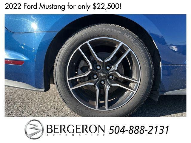 used 2022 Ford Mustang car