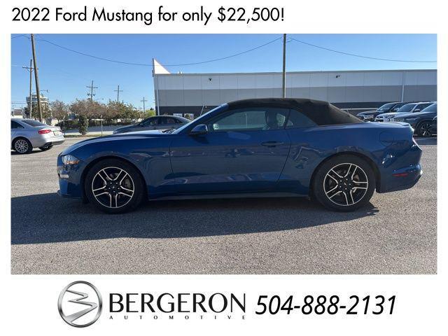 used 2022 Ford Mustang car