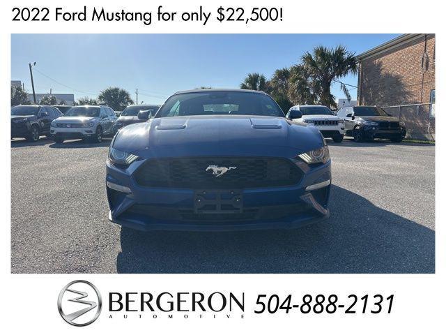 used 2022 Ford Mustang car