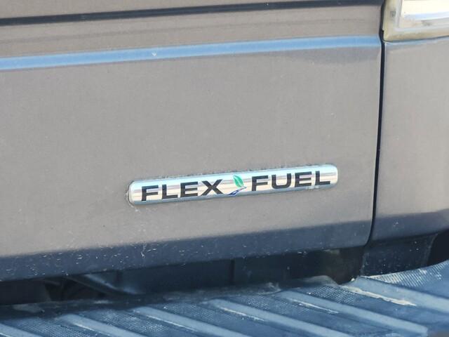 used 2014 Ford F-150 car