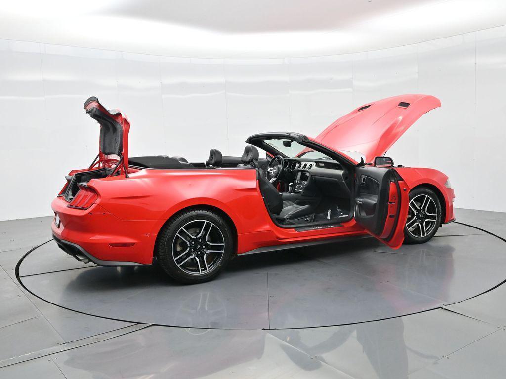 used 2019 Ford Mustang car, priced at $19,435