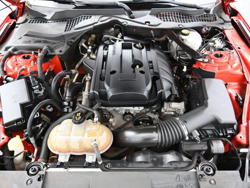 used 2019 Ford Mustang car, priced at $19,435