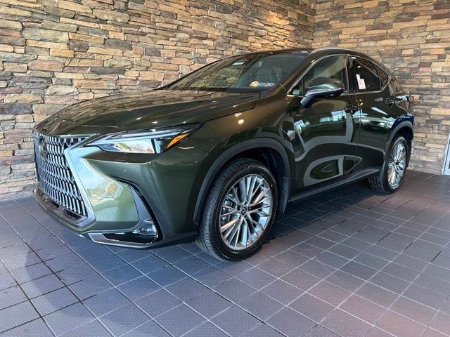 new 2025 Lexus NX 350 car, priced at $58,954