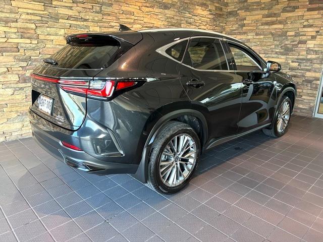 used 2025 Lexus NX 350 car, priced at $46,500