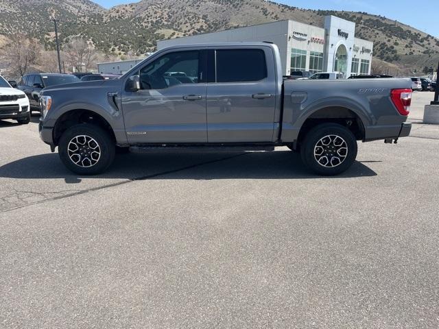 used 2023 Ford F-150 car, priced at $48,024