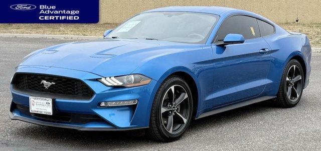 used 2019 Ford Mustang car, priced at $22,500