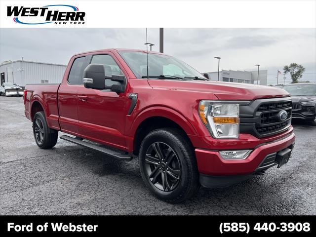 used 2021 Ford F-150 car, priced at $39,229