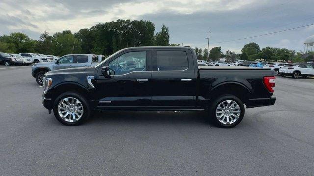 used 2023 Ford F-150 car, priced at $50,147