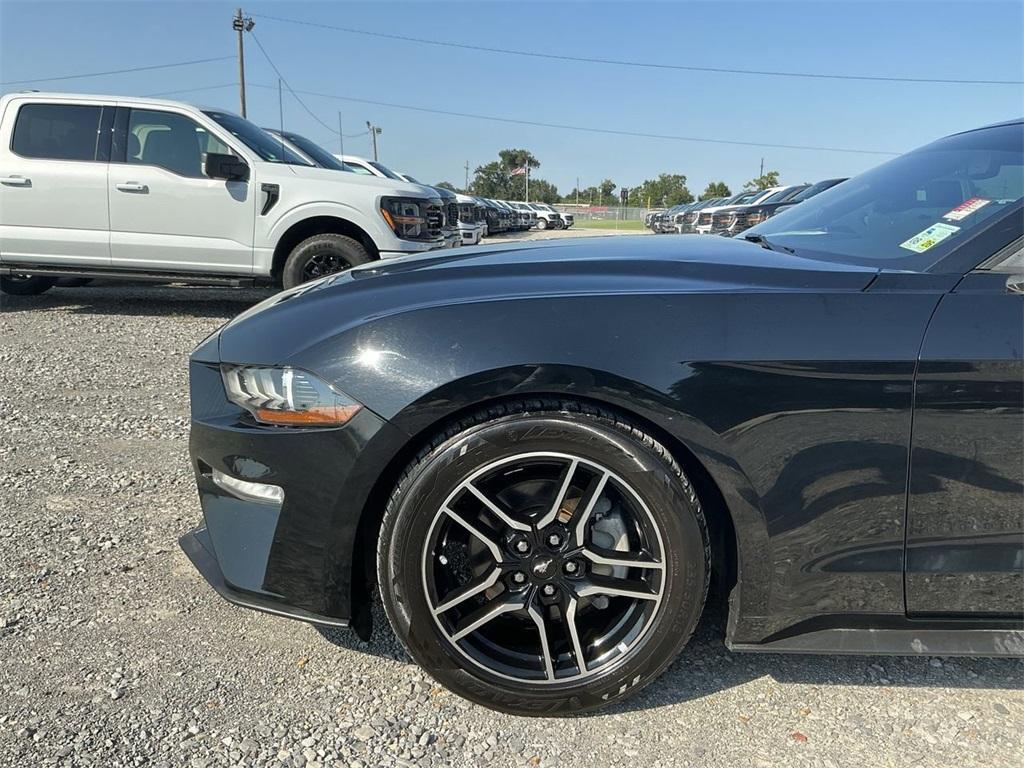 used 2019 Ford Mustang car, priced at $20,140
