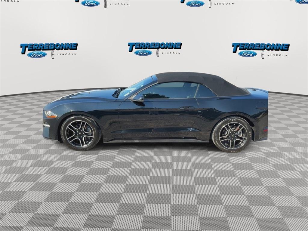 used 2019 Ford Mustang car, priced at $20,140
