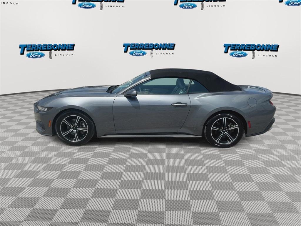 used 2024 Ford Mustang car, priced at $33,278