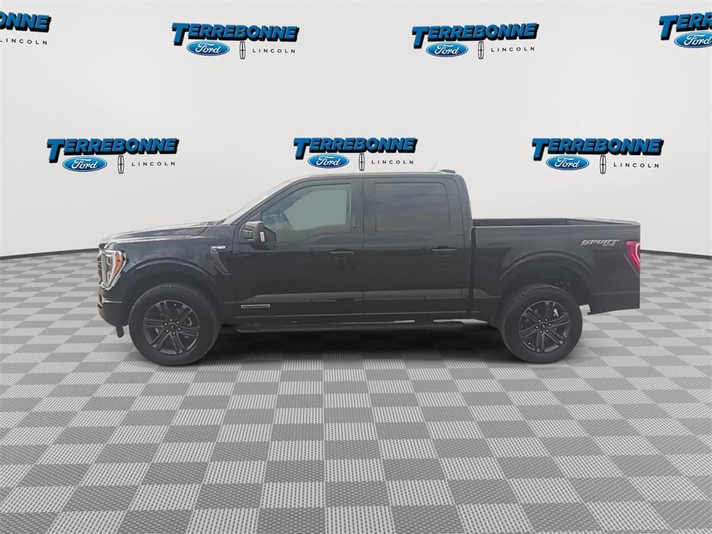 used 2023 Ford F-150 car, priced at $48,828