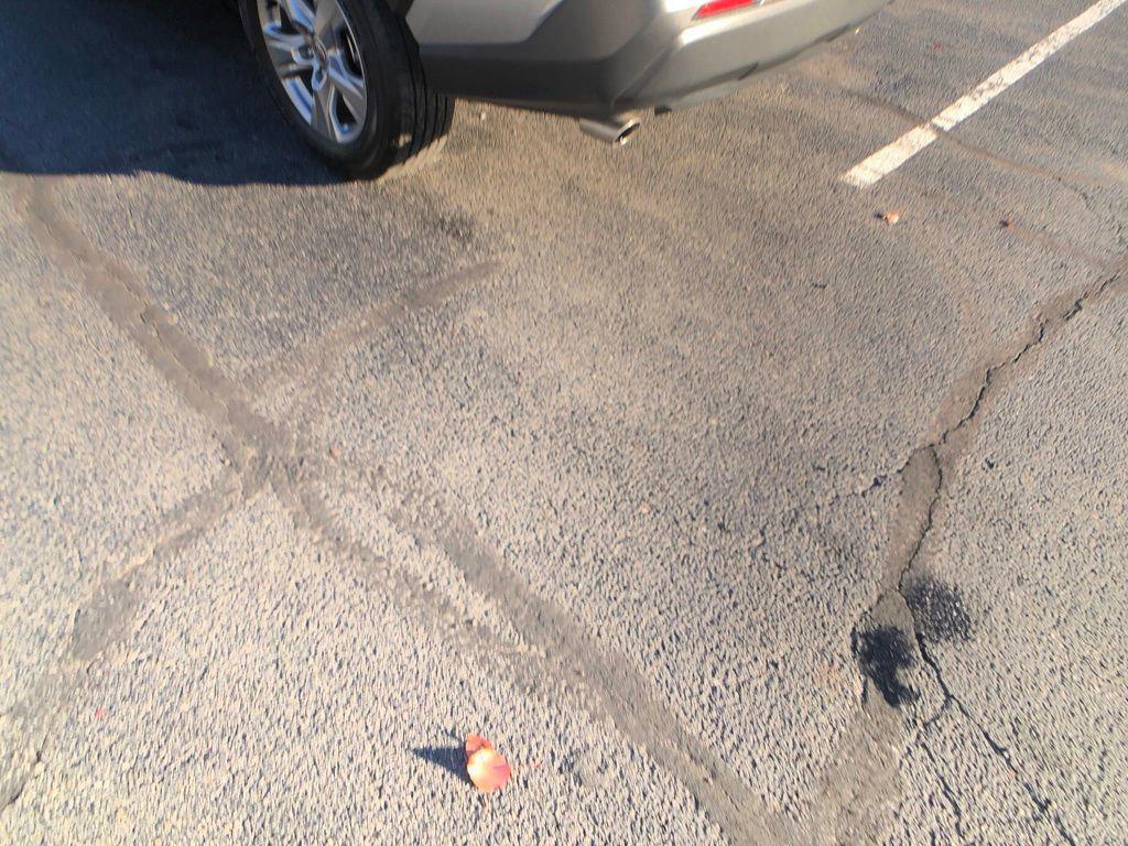 used 2025 Toyota RAV4 car, priced at $31,335