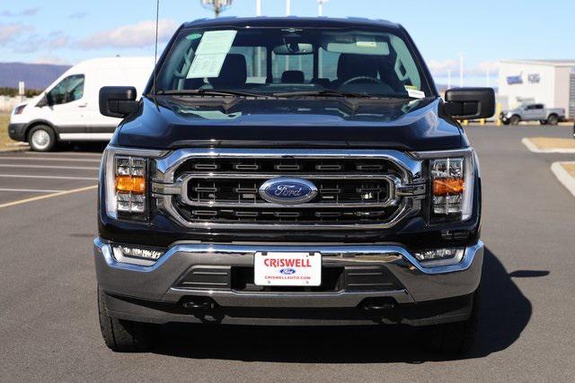 used 2023 Ford F-150 car, priced at $45,595