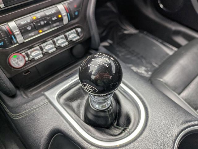 used 2019 Ford Mustang car