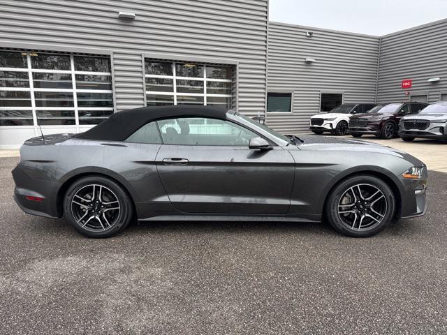 used 2019 Ford Mustang car, priced at $21,399