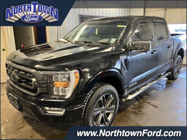 used 2023 Ford F-150 car